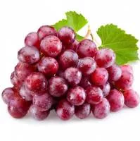 /handbook/raw/krasnyy-vinograd/